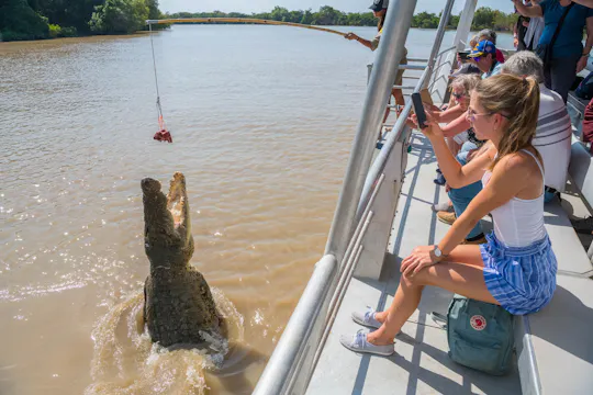 Croisière spectaculaire avec des crocodiles sauteurs sur la rivière Adélaïde