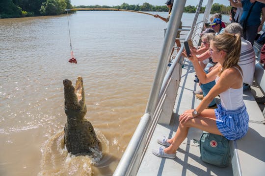 Espectacular crucero de cocodrilos saltando por el río Adelaida