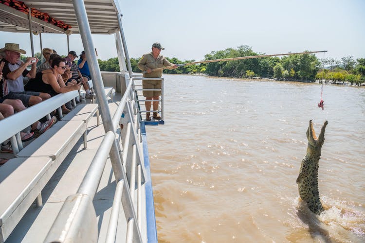 Spectacular Jumping Crocodile Cruise on the Adelaide river