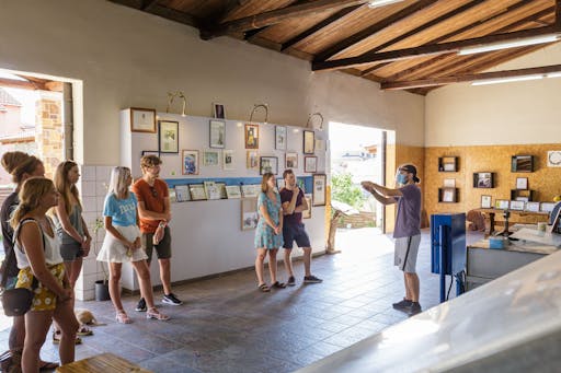 The Governor's Olive Mill Tour