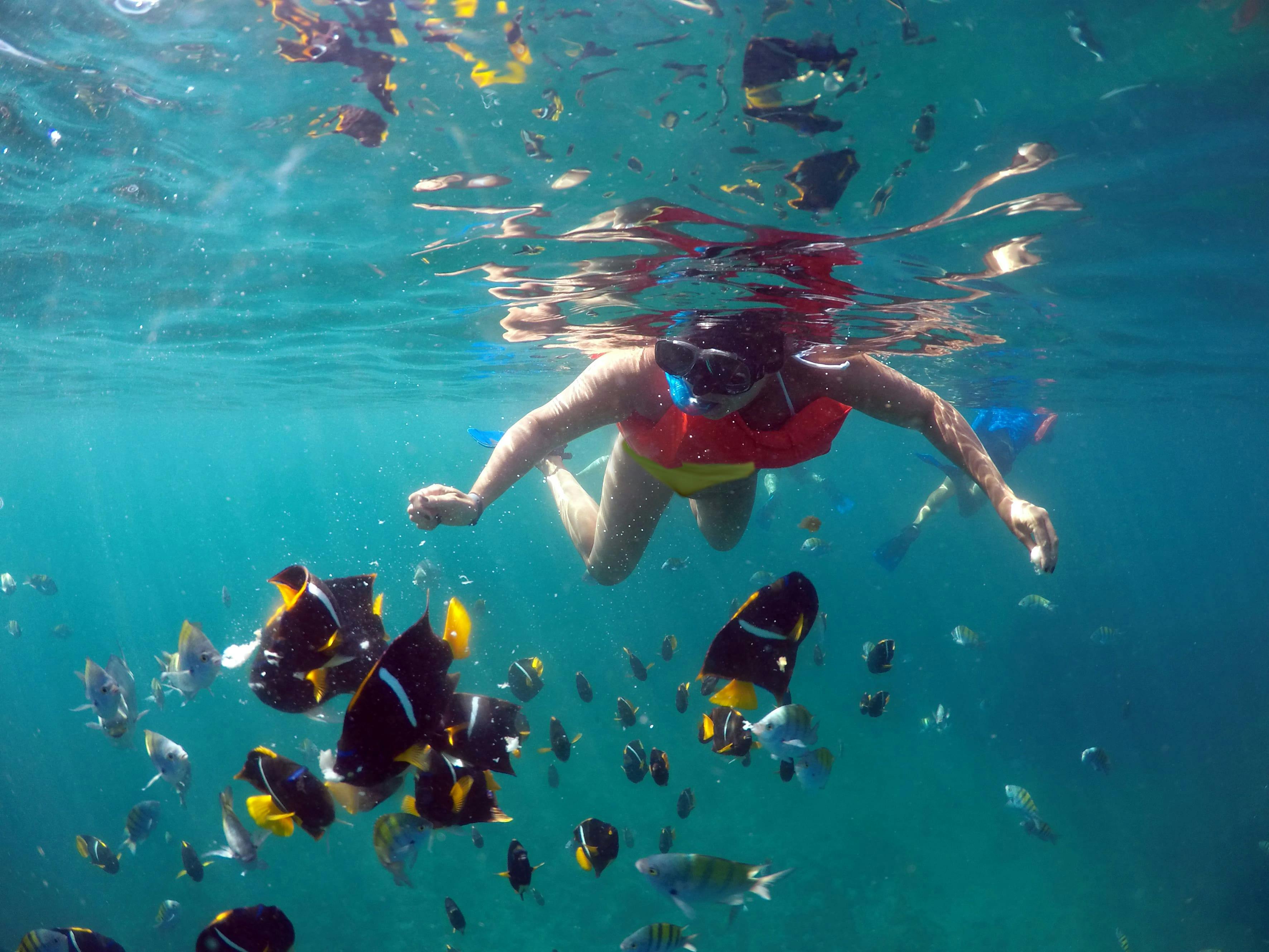 Tour di snorkeling a Cabo Pulmo