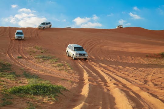 Safari matutino por el desierto más fecha y granjas de camellos de Ras Al Khaimah