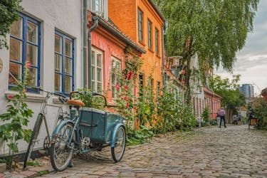 Romantico tour privato a piedi ad Aarhus