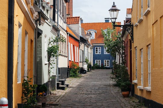 O melhor de Aalborg passeio a pé privado