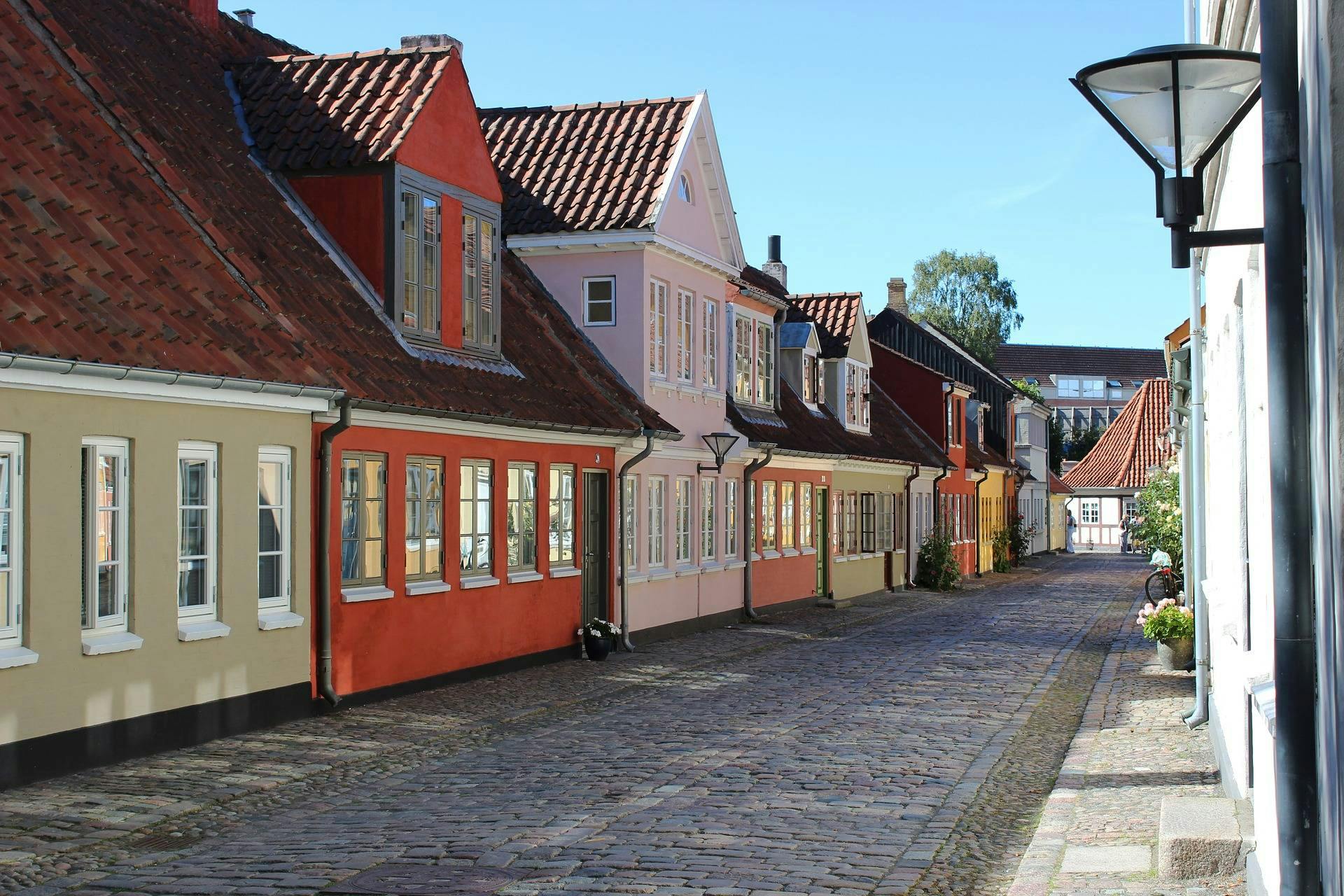 Odense passeio privado a pé