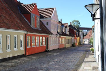 Visite privée à pied d’Odense