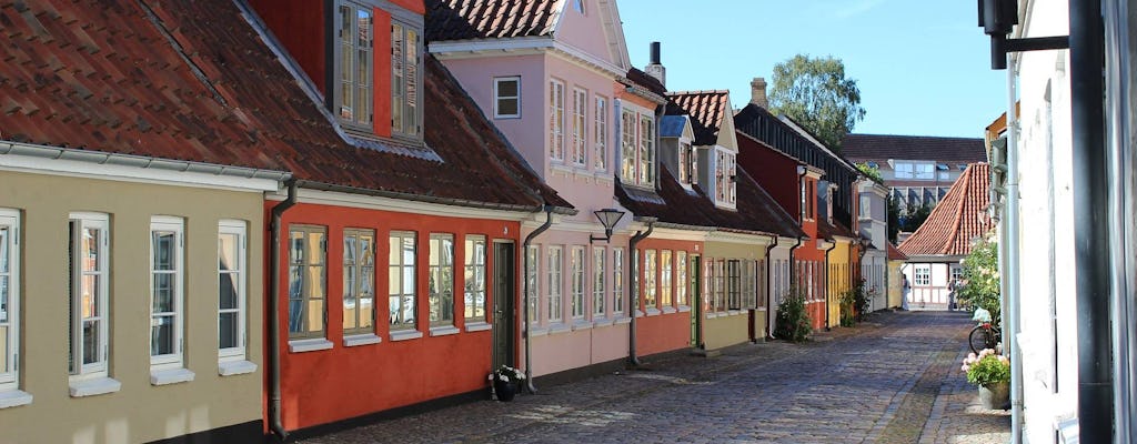 Odense passeio privado a pé