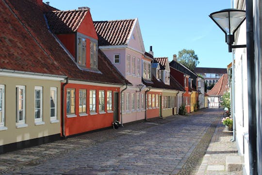 Privat rundtur til fods i skønne Odense