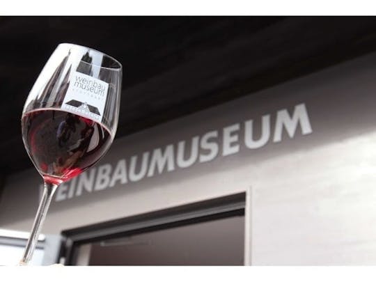 Degustação de vinhos guiada em Stuttgart