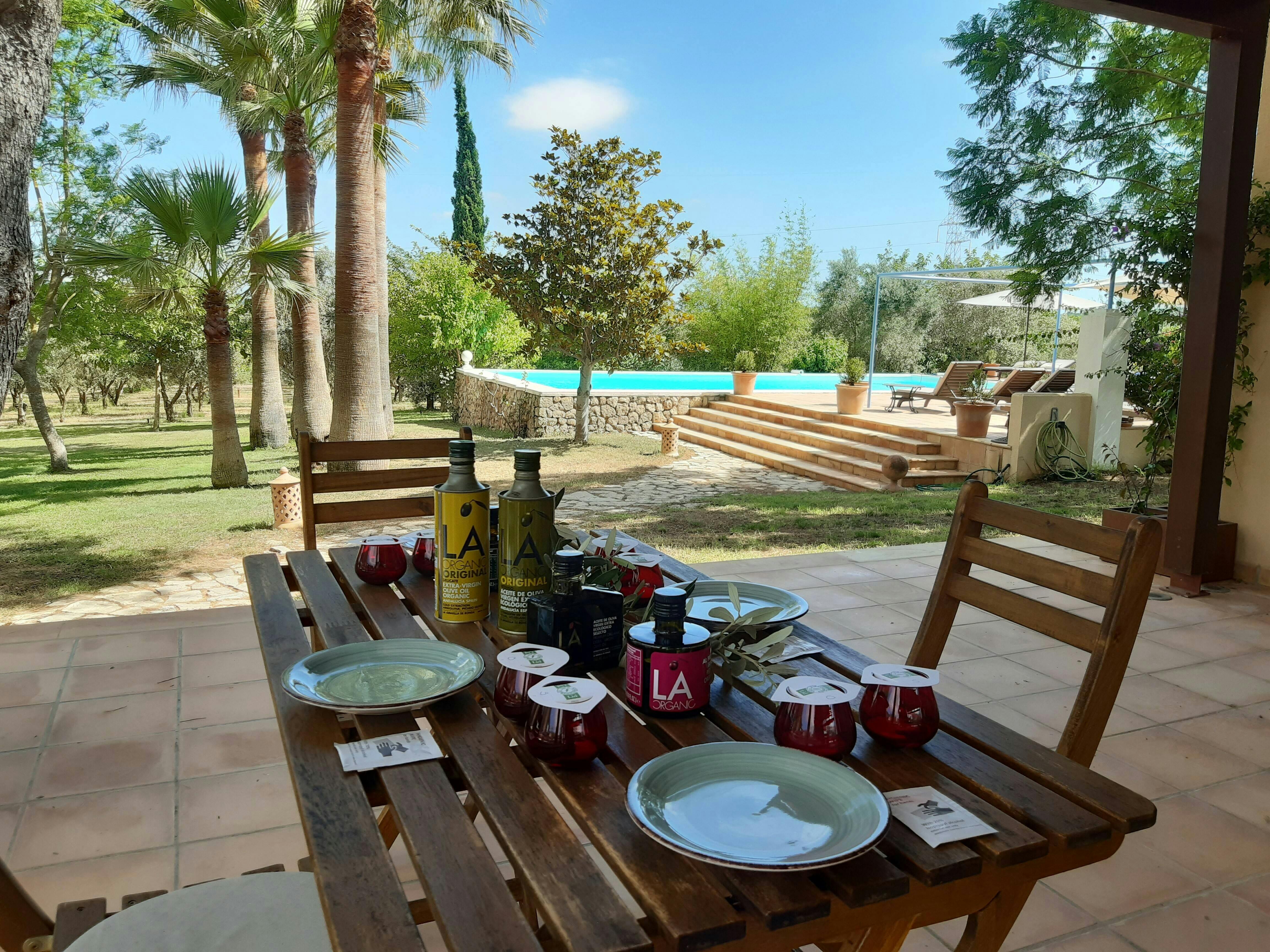 Majorca Olive Oil Tasting Tour