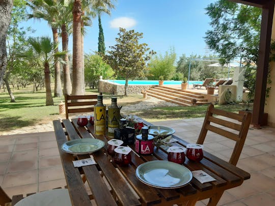 Mallorca Olivenöl-Verkostungstour