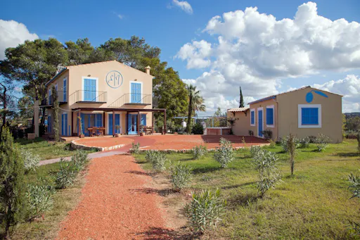 Majorca Olive Oil Tasting Tour