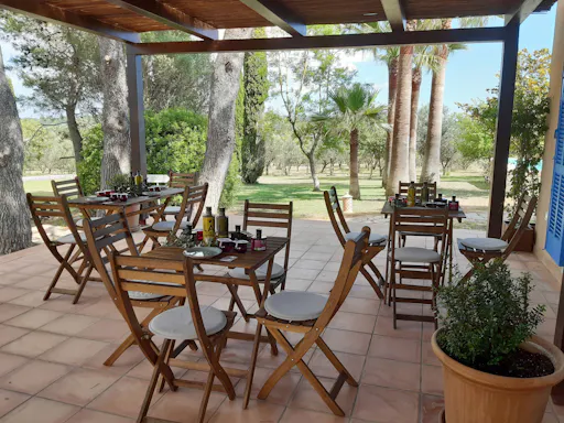 Majorca Olive Oil Tasting Tour