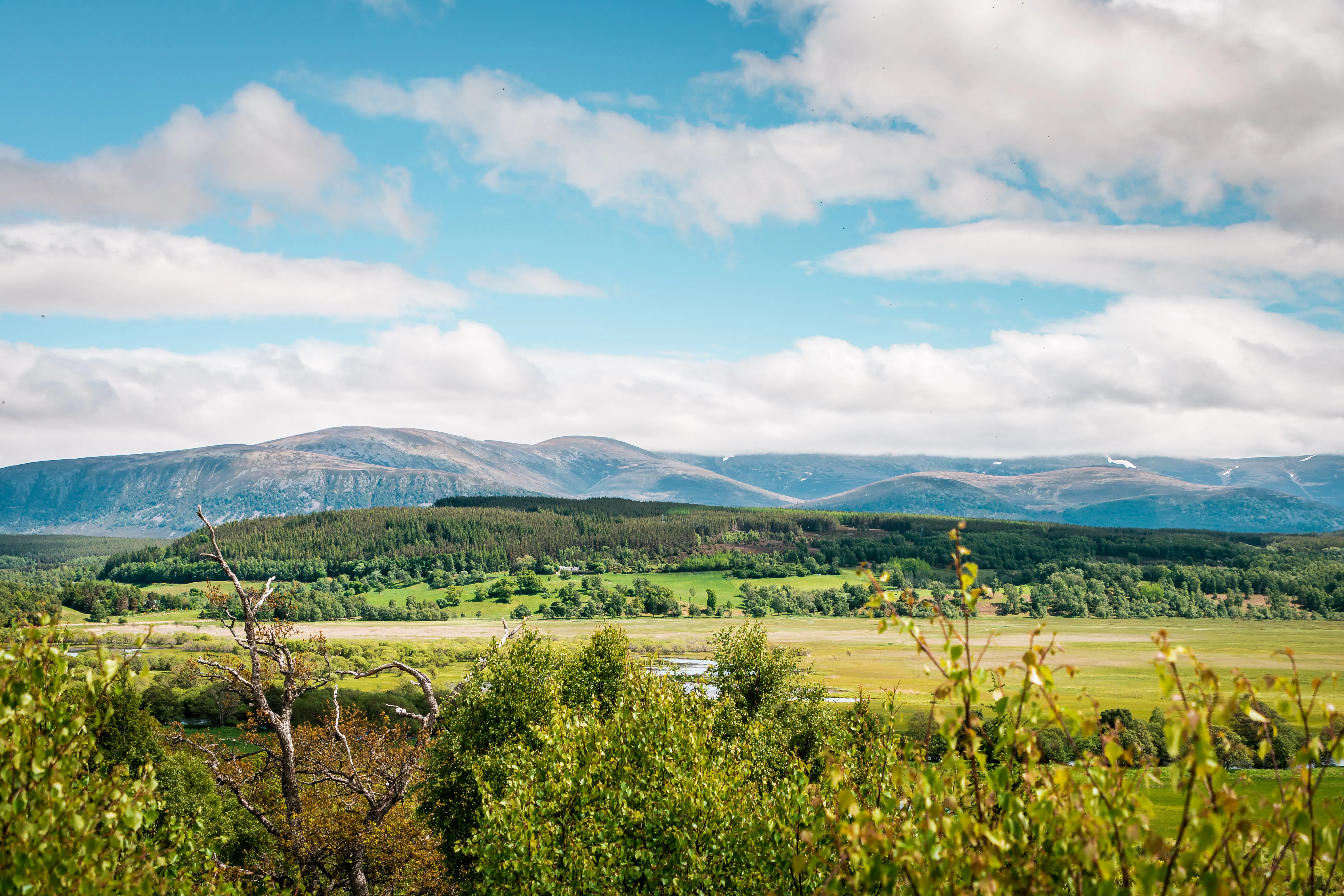 Moray Speyside