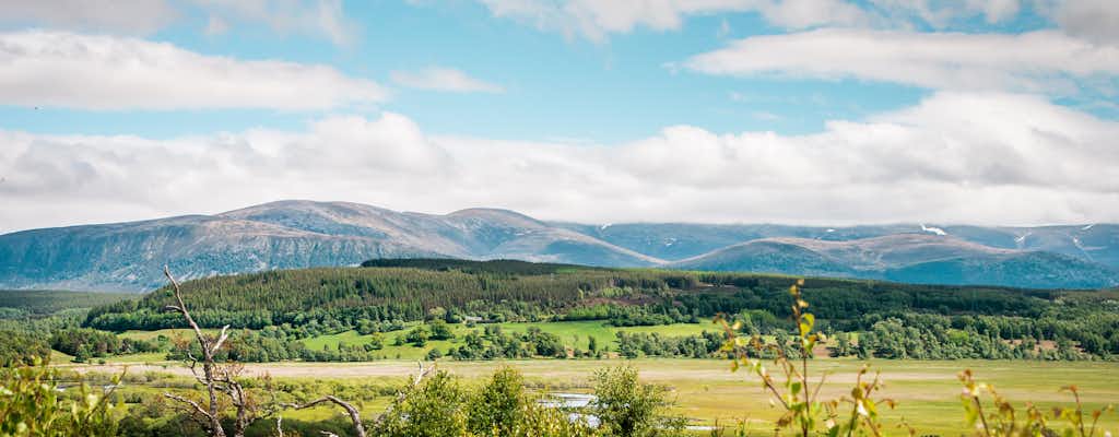 Coisas para fazer em Moray Speyside