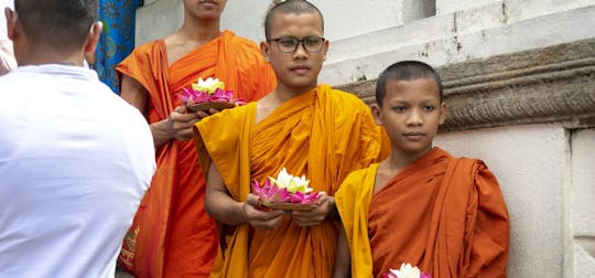Tour privato di un giorno a Kandy dalla regione di Galle