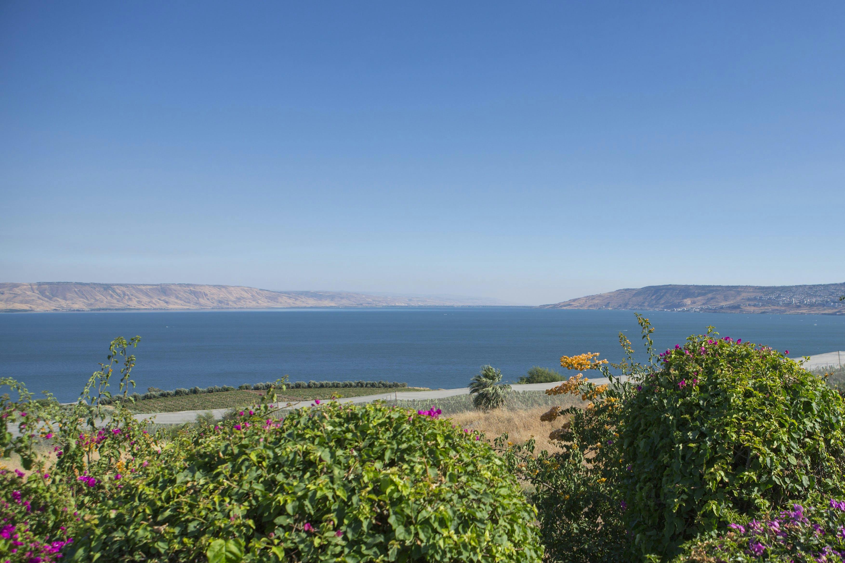 Dagexcursie door het land van de Bijbel en Galilea vanuit Herzeliya