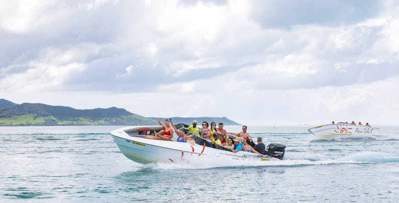 Mauritius five island private speedboat hire