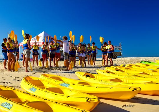 Noosa dolphin view sea kayak and beach 4X4 adventure day tour