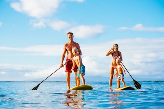 Stand Up paddle wildlife tour and beach 4x4 Noosa day trip