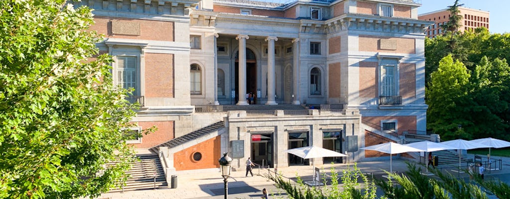 Bilety wstępu bez kolejki i prywatna wycieczka do Muzeum Prado oraz pałacu królewskiego