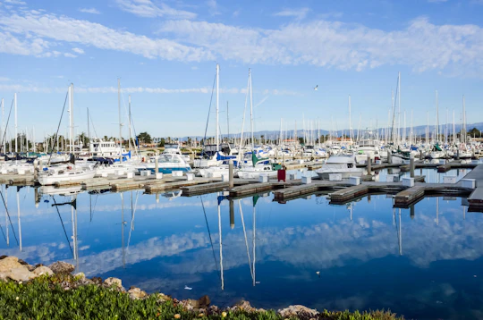 Newport's champagne premium brunch cruise