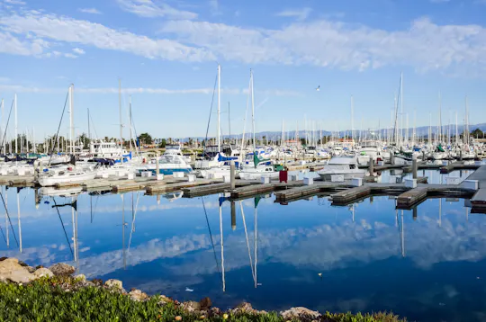 Newport's champagne premium brunch cruise