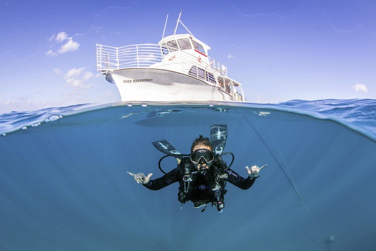 Oahu wreck and reef diving or snorkeling tour