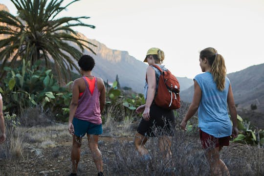 Excursiones de senderismo en La Palma