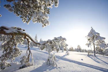 Фототур по Саариселке на санях-снегоходах