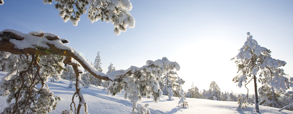 Saariselka-fotografietour per sneeuwscooterslee