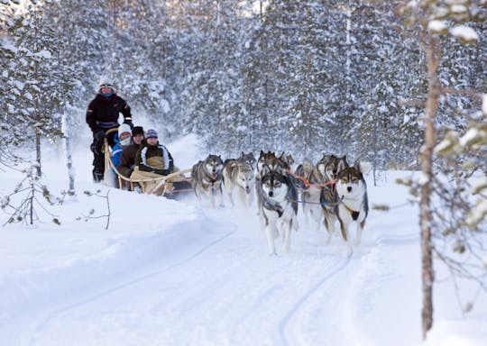 Points forts de l'hiver Levi en visite familiale en minibus