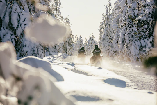 3-hour snowmobile adventure in Levi
