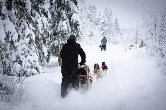 Zelfrijdende husky-sledetocht in Levi
