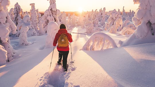 Levi sneeuwschoenwandelen en ijsvissen tour