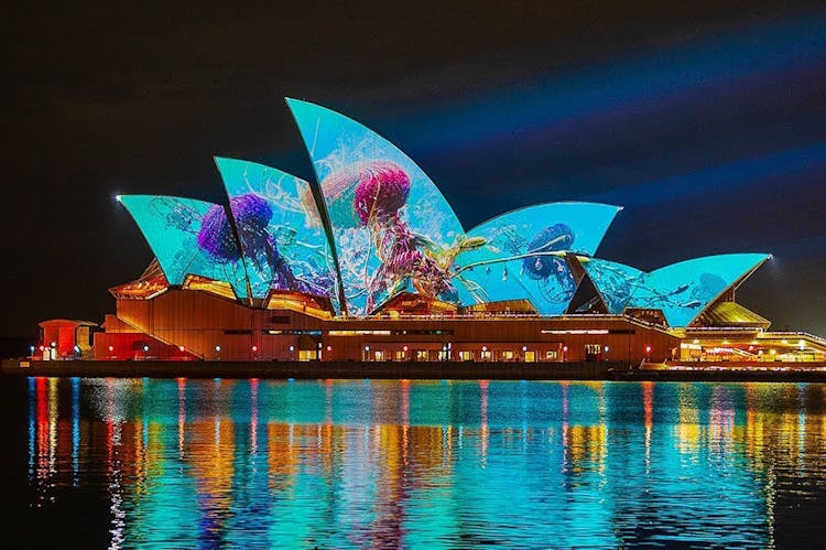 Vivid Sydney Festival bring-your-own-drink catamaran cruise