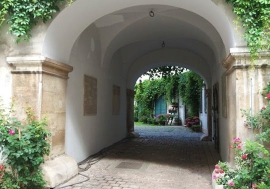 Vienna undercover guided walking tour with wine tasting