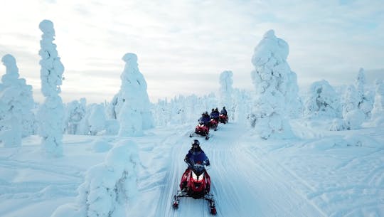 Enkele sneeuwscootersafari in Levi