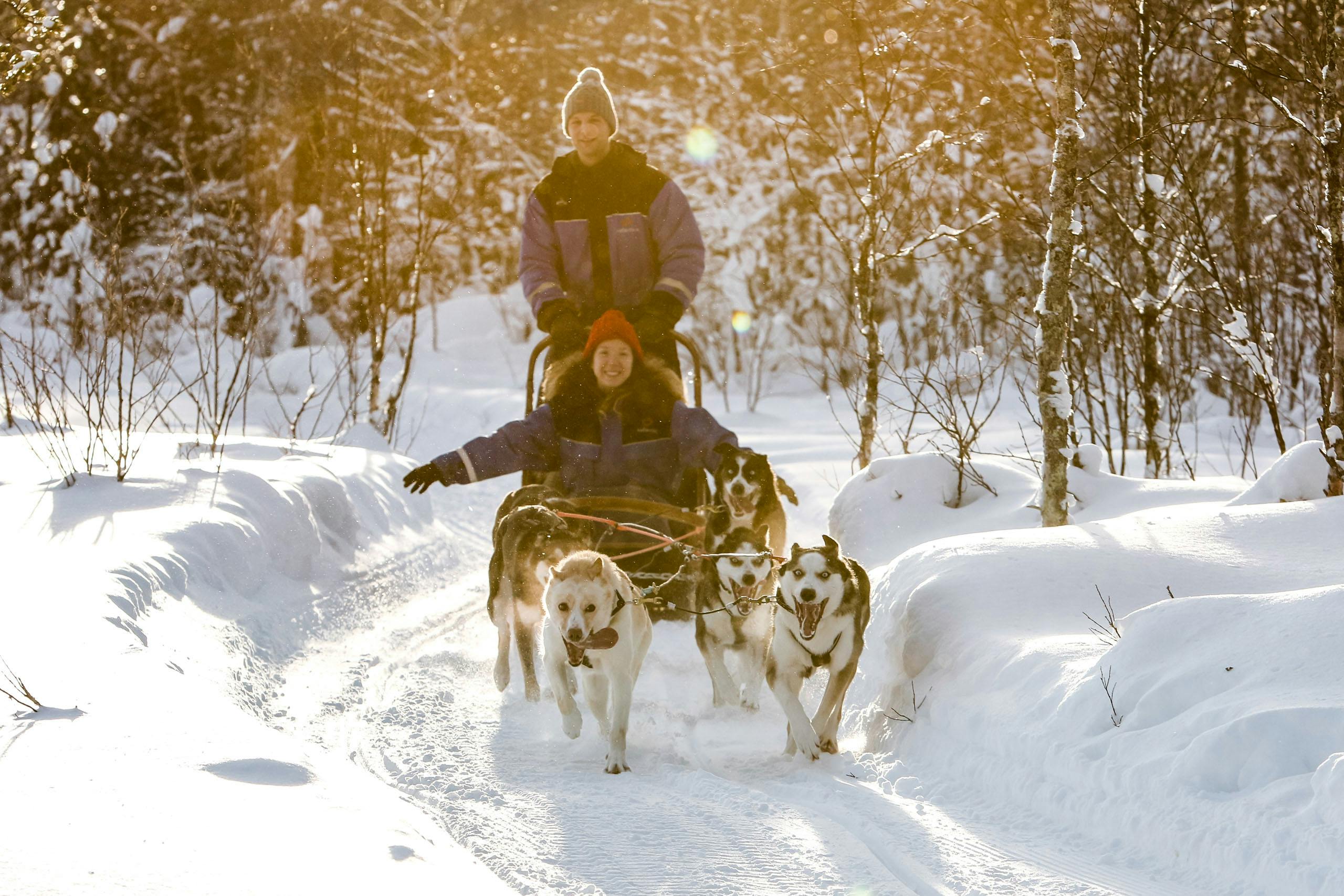 Huskies and reindeer sleigh rides combo tour inLevi