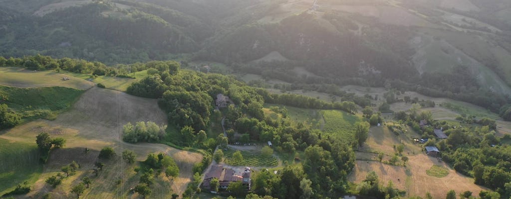 Visite guidée et dégustation de vins à la Cantina del Frignano