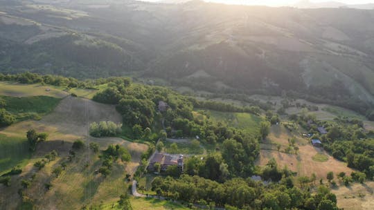 Rondleiding en wijnproeverij bij Cantina del Frignano