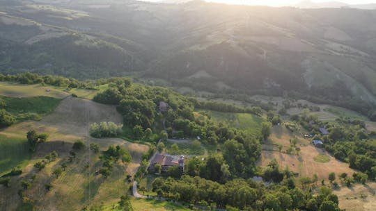 Guided tour and wine tasting at Cantina del Frignano