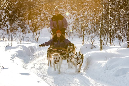 Levi husky-sleesafari van een halve dag
