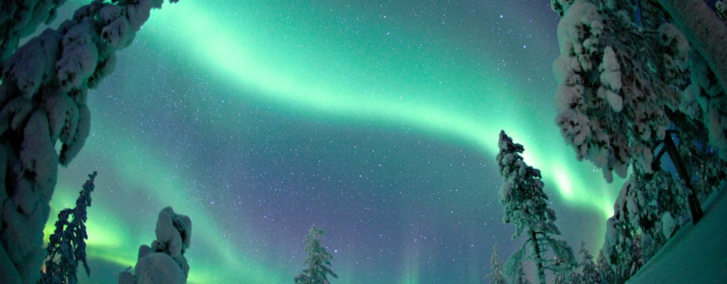 Busca de fotos para a aurora boreal