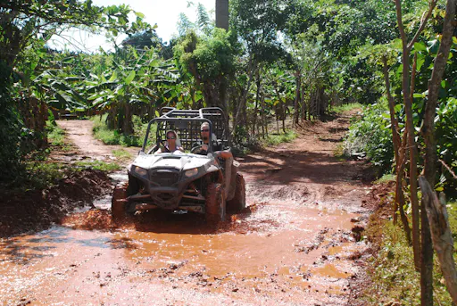 Private Buggy Tour of Samana Peninsula