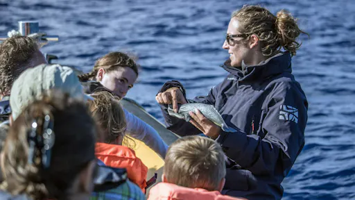 São Miguel Whale Watching & Islet Ticket