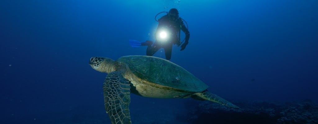 Mergulho noturno em Oahu