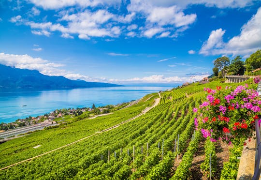 2-hour romantic tour in Lausanne