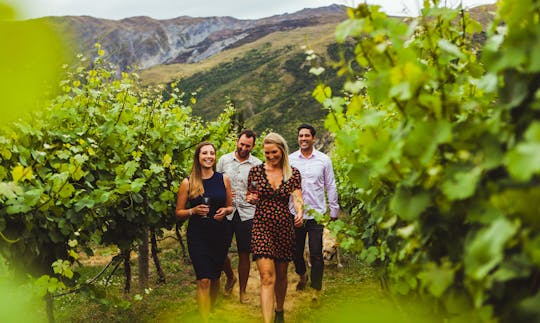 Queenstown wine sampler tour