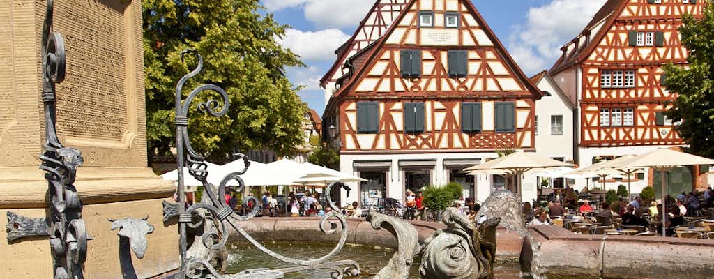 Ladenburg tickets and tours